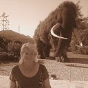 ���� �������, �������-����������, 53 ���� - ��������� 23 ������ 2017 � ������ ���� ����������