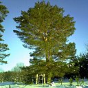 ���� �������, ���������, 45 ��� - ��������� 10 ������� 2017 � ������ ���� ����������