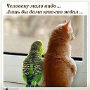 ���� ������, ������ - ��������� 18 ������ 2017 � ������ ������ ��������
