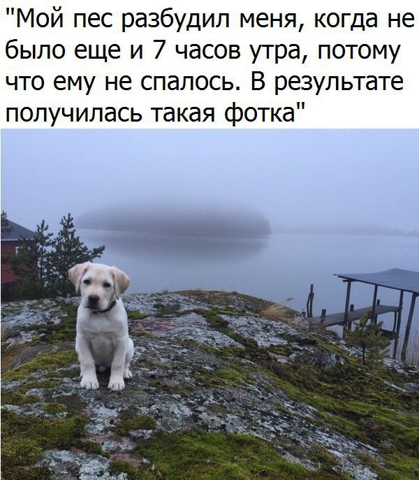   :    - 30  2017  18:41