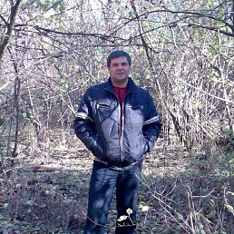 , 51, 