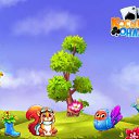 ���� Kobi, �����������, 51 ��� - ��������� 30 ������� 2017 � ������ �������� �������-�������