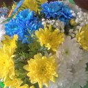 ���� ����, ������, 57 ��� - ��������� 20 �������� 2017