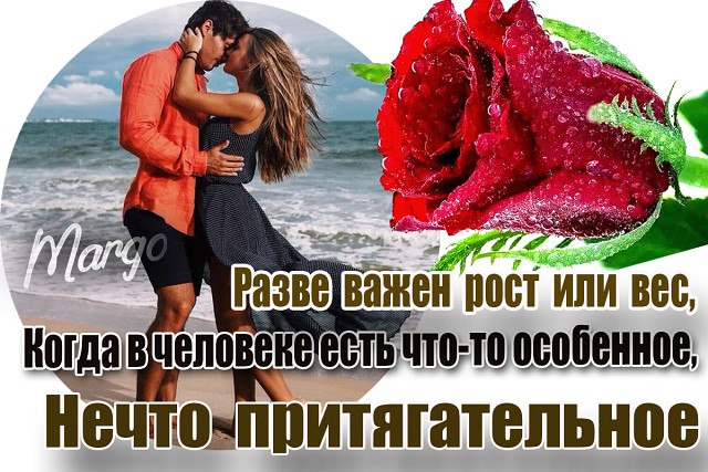 ����� � ������� - 3 ������� 2017 � 06:39
