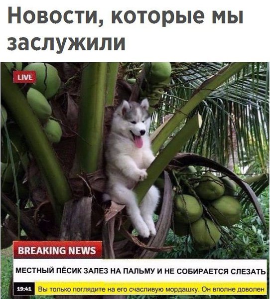   - 6  2017  17:49