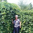 ���� ���������, ������ - ��������� 8 ������� 2017 � ������ ���� ����������