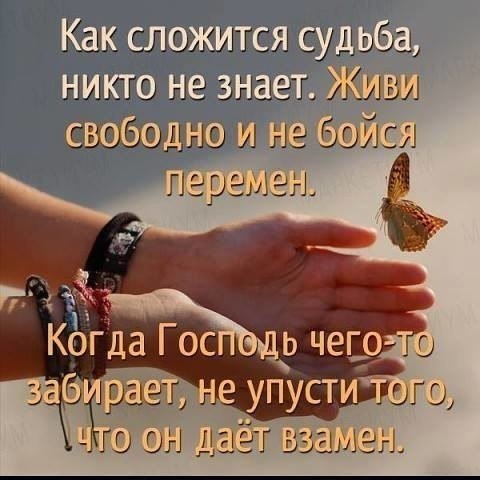 ������� ��� ���� - 31 ���� 2017 � 17:28
