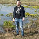  , , 36  -  3  2017    ( 2017)