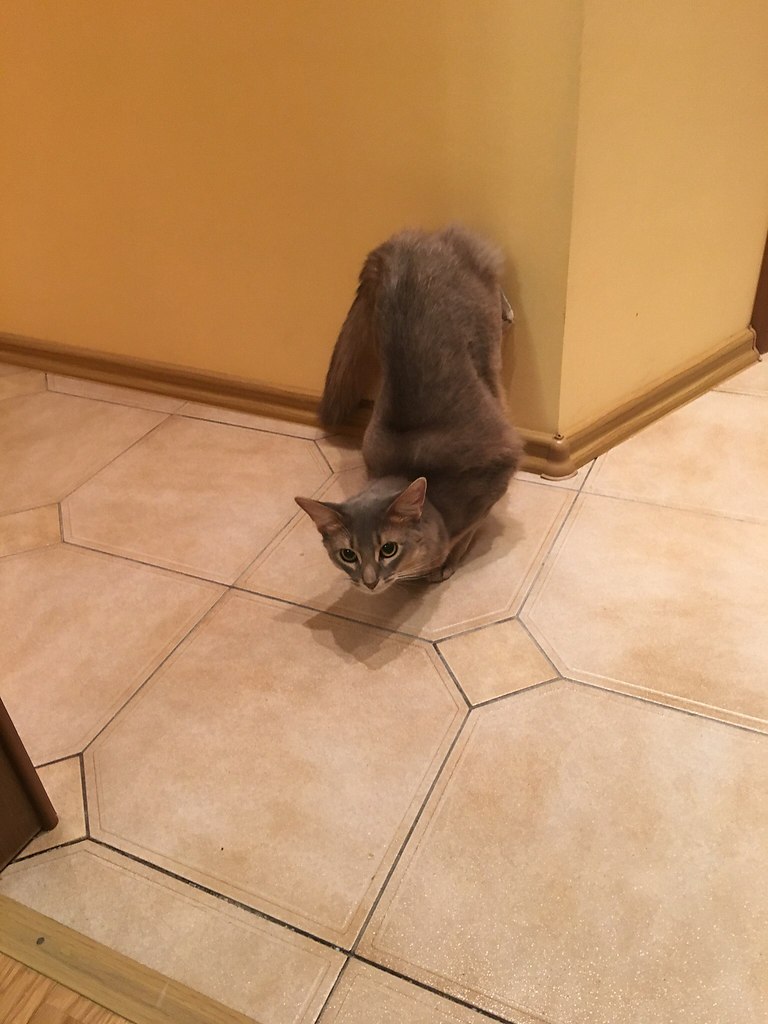 , ,   