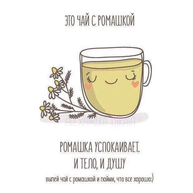  . - 6