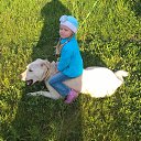 ����� �� ����� �������-���������� �� ������� ���� ����������