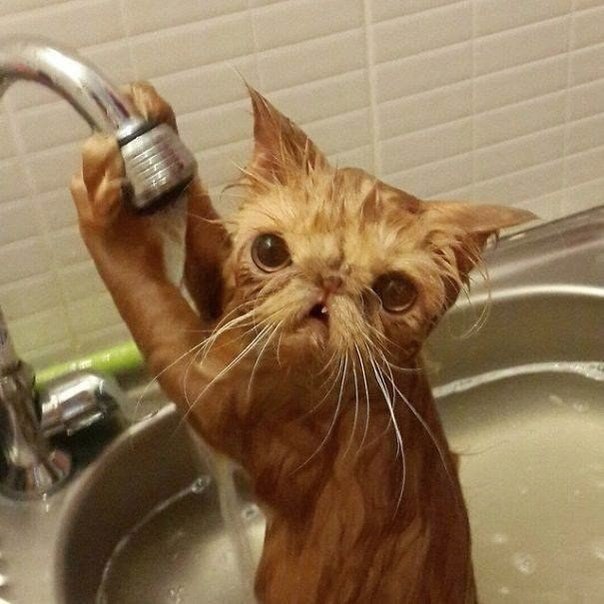-.#@https://fotostrana.ru/away?to=/sl/XE2 - 6
