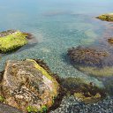  , , 60  -  29  2017   ,, 2017, ...