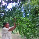 ���� Revaz, �������, 55 ��� - ��������� 30 ��� 2017 � ������ ���� ����������