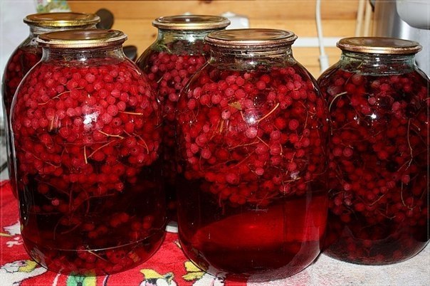 Компот из красной смородины. Надёжный рецепт! #закрутки #заготовки #консервация Время приготовления: ...