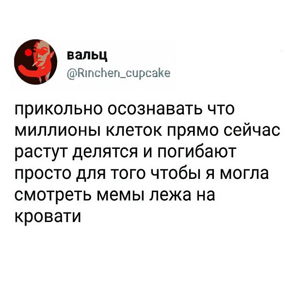    - 6  2017  20:04