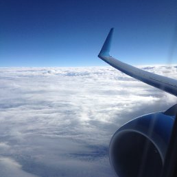 ���� �������, ������ - ��������� 6 ������� 2017