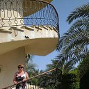 ���� ����, ���������, 54 ���� - ��������� 12 ������� 2017 � ������ ���� ����������