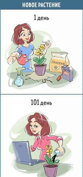 Как меняется наше отношение к любым вещам за каких-то 100 дней. #интересное@rules4life - 9