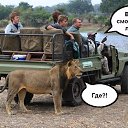 ���� ��������, �����-��������� - ��������� 11 ������� 2017 � ������ ������ ��������