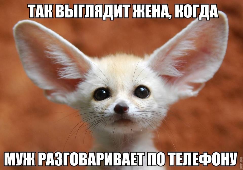    :D - 19  2017  03:34