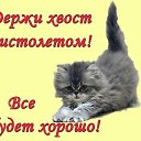 ���� ������, �������, 47 ��� - ��������� 12 ������� 2017 � ������ ���� ����������