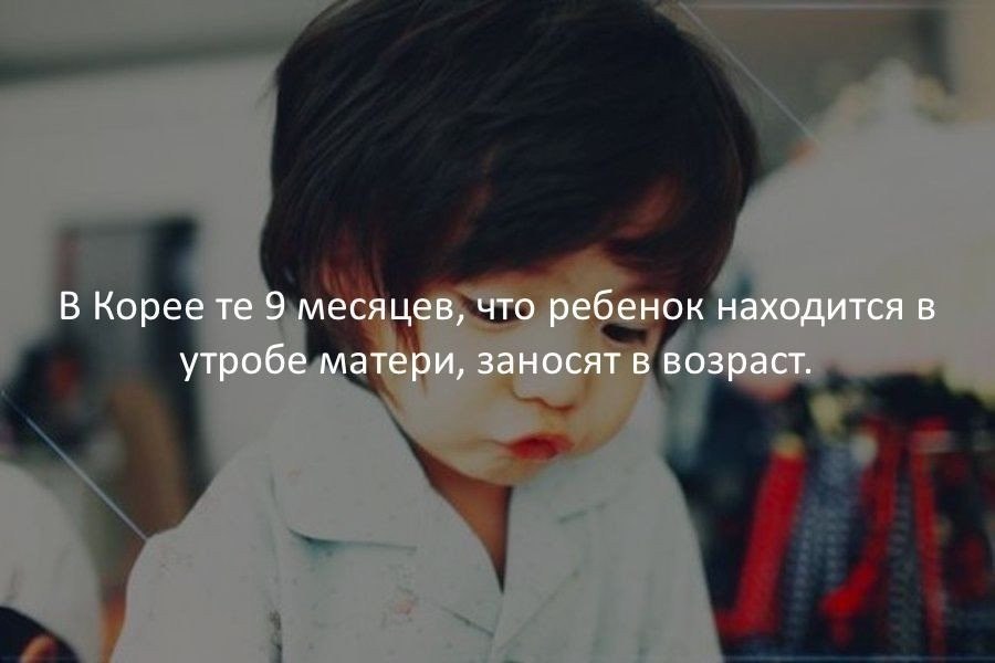   :    - 9  2017  17:47