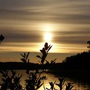 ���� Satsky, �����-���������, 43 ���� - ��������� 15 �������� 2017