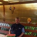 ���� �������, �����-���������, 55 ��� - ��������� 6 �������� 2017 � ������ ���� ����������