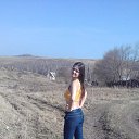 26.04.2017 �� ������� ���� ����������