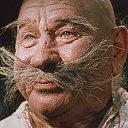 ���� ������, �������� - ��������� 5 ���� 2017 � ������ ������ ��������