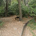  , , 60  -  6  2017   , ,06.09.17. ,...