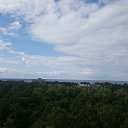  Arturas, , 46  -  4  2017    