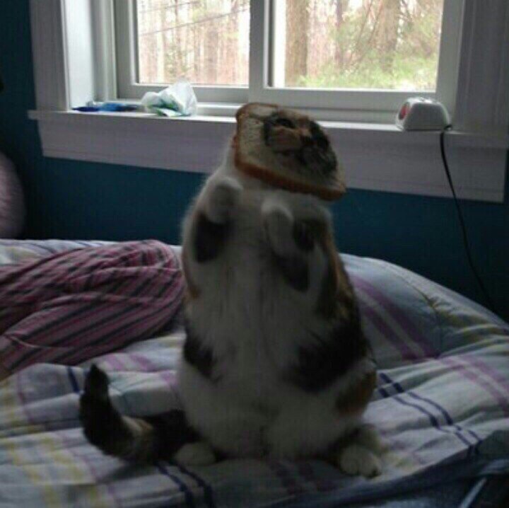   :  . - 5