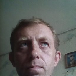 �����, 49 ���, �����������