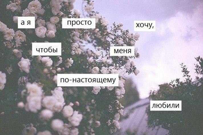    - 15  2017  14:27