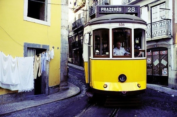  :  ,   ,     ,  , ... - 6