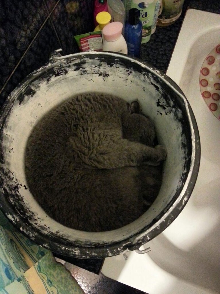   ,  .