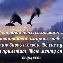 ���� �������, ����, 38 ��� - ��������� 20 ������� 2017