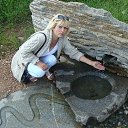 ���� �����, �������, 54 ���� - ��������� 14 ���� 2017