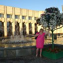  , , 41  -  5  2017   2017