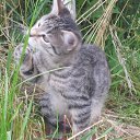 ���� �������, ������������ - ��������� 27 ������� 2017 � ������ ���� ����������