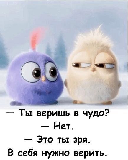  - 26  2017  17:29