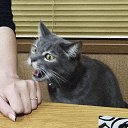 ���� Olga, �������, 60 ��� - ��������� 7 ������� 2017 � ������ ������