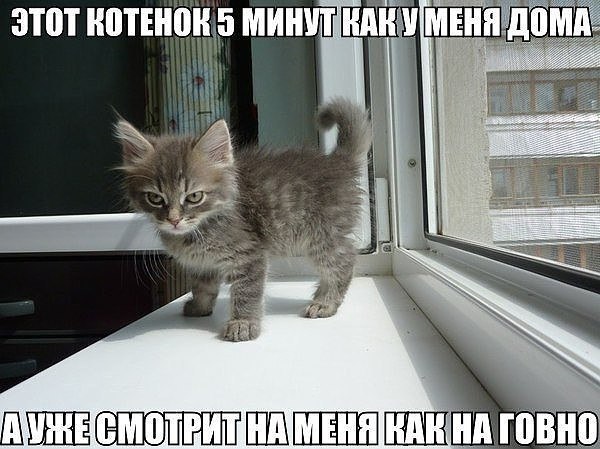  - ,  - 6  2017  04:27
