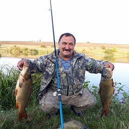 �������, ����������, 65 ���