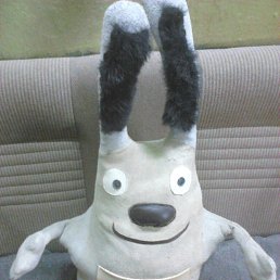 ���� ����, �����-���������, 41 ��� - ��������� 25 ���� 2017