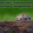 ���� ����, ����������, 58 ��� - ��������� 24 ���� 2017 � ������ ������ ��������