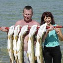 ���� ����, �������, 42 ���� - ��������� 28 ���� 2017 � ������ ������ ��������