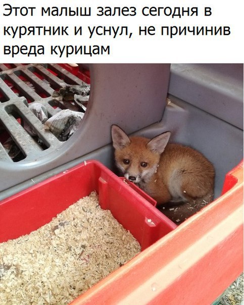   - 3  2017  14:07